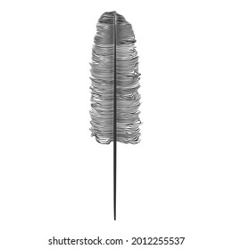 Bird feather on white isolated background. Vector illustration. Template for logo, emblems, icons.