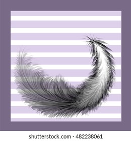 Bird feather painted with a brush on a striped background. Vector.