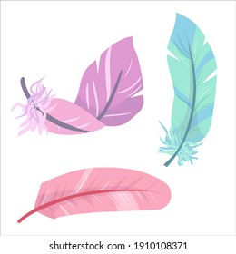 Bird feather in pastel colors. Simple drawing in pastel colors. Vector illustration drawn in cartoon style isolated on white background