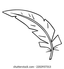 Bird feather quill, writing ink pen, hand drawn outline, doodle sketch. Freehand, minimalism style, line art. Isolated. Vector illustration