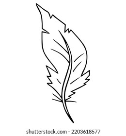 Bird feather quill, writing ink pen, hand drawn outline, doodle sketch. Freehand, minimalism style, line art. Isolated. Vector illustration