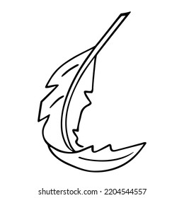 Bird feather quill, writing ink pen, hand drawn outline, doodle sketch. Freehand, minimalism style, line art. Isolated. Vector illustration