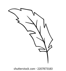 Bird feather quill, writing ink pen, hand drawn outline, doodle sketch. Freehand, minimalism style, line art. Isolated. Vector illustration