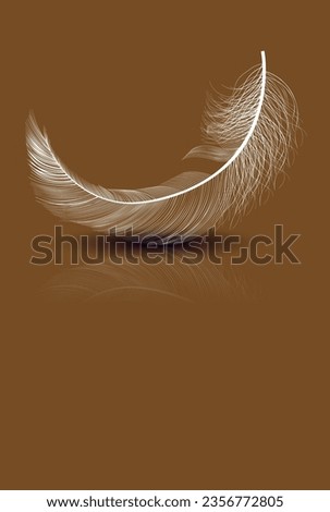 bird feather with reflection on brown background