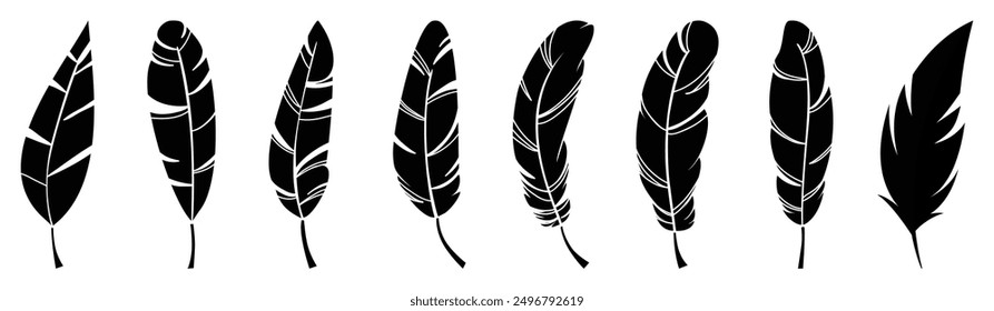 Bird feather set vector. Detailed majestic feather collection