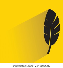 bird feather with shadow on yellow background