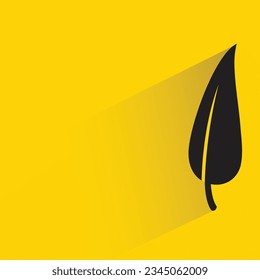 bird feather with shadow on yellow background