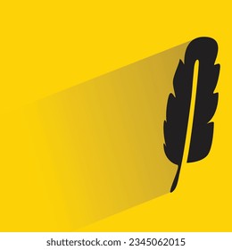 bird feather with shadow on yellow background