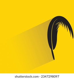bird feather with shadow on yellow background