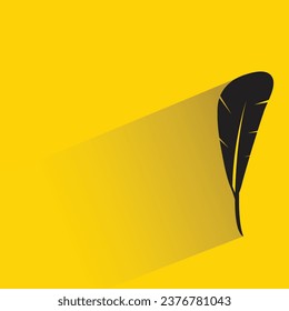 pluma de pájaro con sombra sobre fondo amarillo
