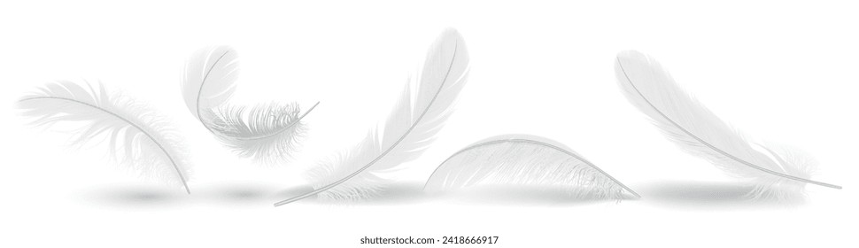 Las formas de pluma de aves agrupan un conjunto de ilustraciones vectoriales realistas. Desplome volador con textura desordenada. Elementos 3d de edredones blancos ondulados sobre fondo blanco