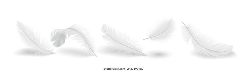 Bird feather shapes group realistic vector illustration set. Flying plumage with messy texture. Fluffy white quills 3d elements on white background