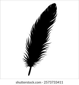 Bird Feather silhouette vector illustration