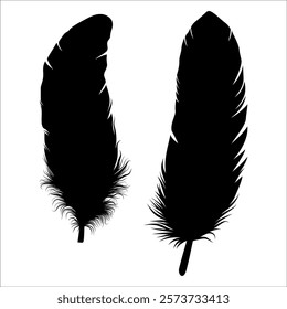 Bird Feather silhouette vector illustration