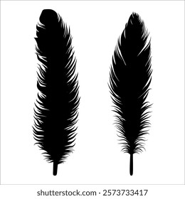 Bird Feather silhouette vector illustration