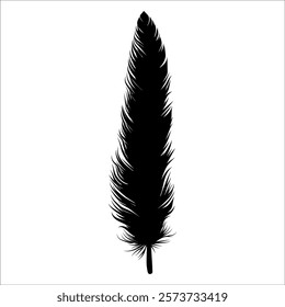 Bird Feather silhouette vector illustration