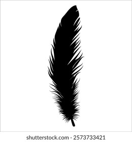 Bird Feather silhouette vector illustration