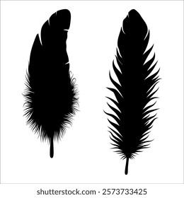 Bird Feather silhouette vector illustration