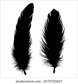 Bird Feather silhouette vector illustration