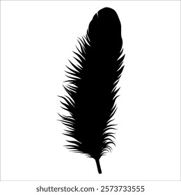 Bird Feather silhouette vector illustration