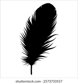 Bird Feather silhouette vector illustration