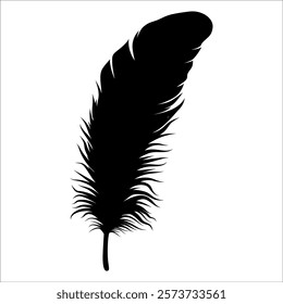 Bird Feather silhouette vector illustration