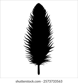 Bird Feather silhouette vector illustration