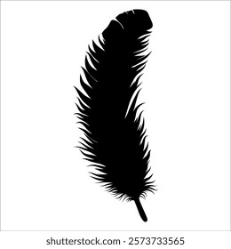 Bird Feather silhouette vector illustration