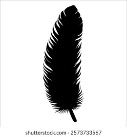 Bird Feather silhouette vector illustration