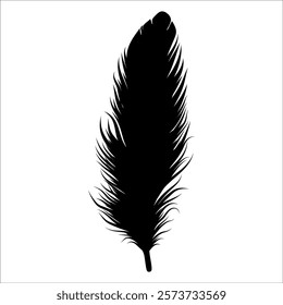 Bird Feather silhouette vector illustration