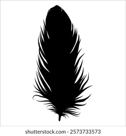 Bird Feather silhouette vector illustration