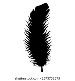 Bird Feather silhouette vector illustration