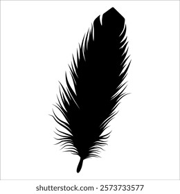 Bird Feather silhouette vector illustration