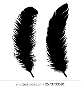 Bird Feather silhouette vector illustration