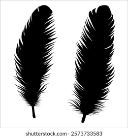 Bird Feather silhouette vector illustration