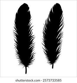 Bird Feather silhouette vector illustration