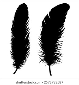 Bird Feather silhouette vector illustration