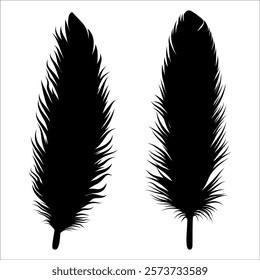 Bird Feather silhouette vector illustration