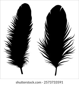 Bird Feather silhouette vector illustration