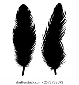 Bird Feather silhouette vector illustration