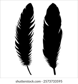 Bird Feather silhouette vector illustration