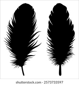 Bird Feather silhouette vector illustration