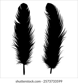 Bird Feather silhouette vector illustration