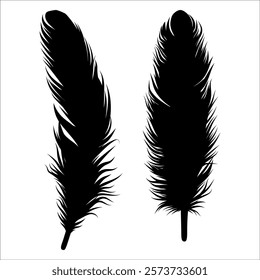 Bird Feather silhouette vector illustration