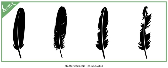 bird feather silhouette. vector illustration.