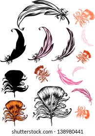 bird feather silhouettes