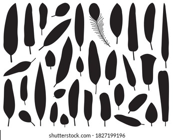 Bird feather silhouettes set in black and white. Decorative monochrome plumage and quill outline collection in flat design. Birds plume shapes on white background.