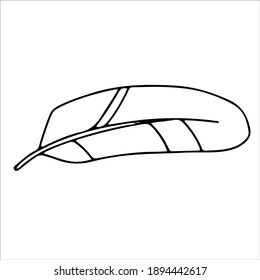 pluma de pájaro. un sencillo colorido de imágenes en blanco y negro. un elemento de un conjunto de doodles dibujados. Ilustración del vector sobre fondo blanco
