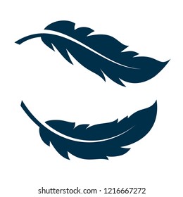 bird feather simple vector 