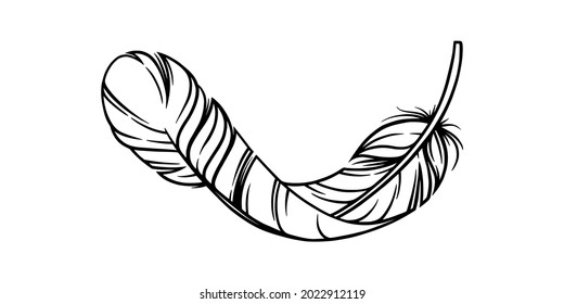 Bird feather sketch. Curved decorative feather isolated in white background. Hand drawn vector illustration